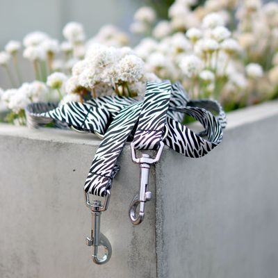 Leine aus Gurtband Design Louie Leine aus Gurtband Design Louie