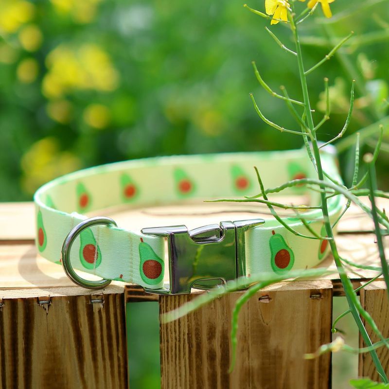 Halsband aus Gurtband Design Rudi