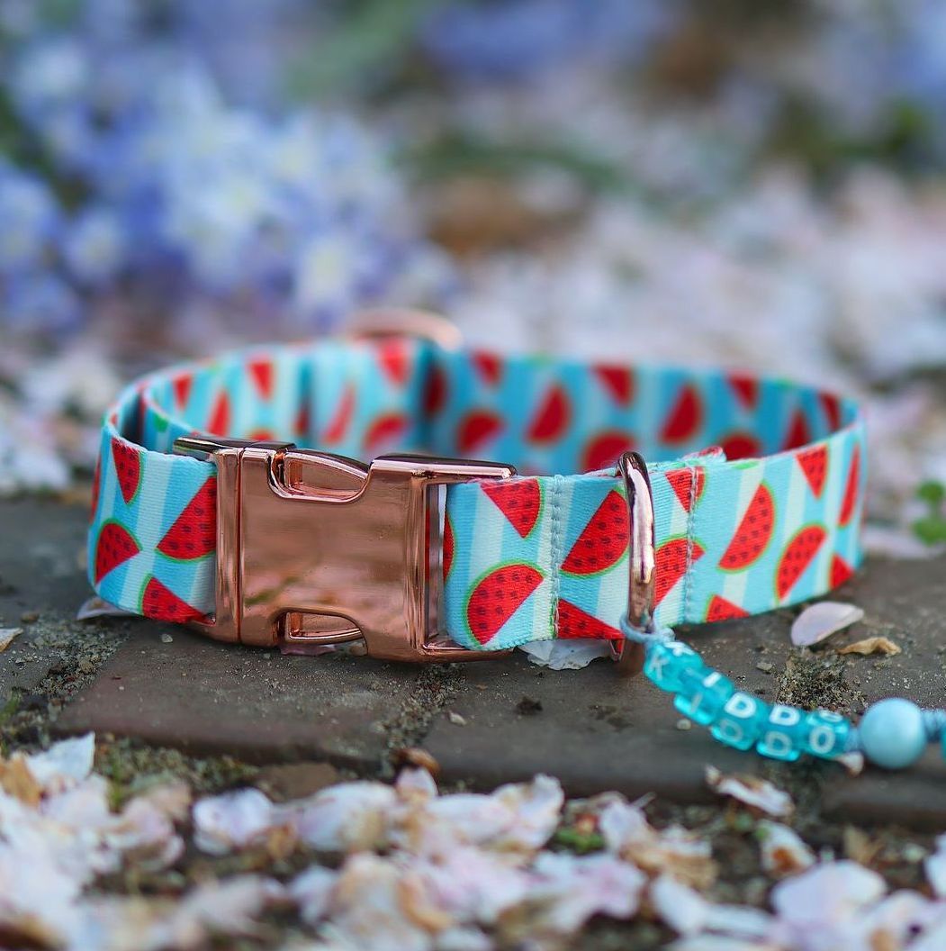 Halsband aus Gurtband Design Kiddo