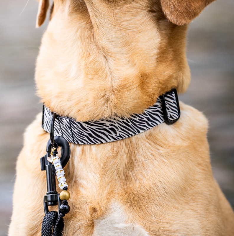 Halsband aus Gurtband Design Louie