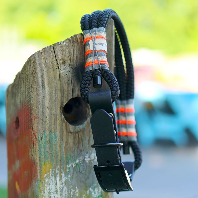 *Sofortkauf* Halsband HU 46-51cm Standard Tau *Sofortkauf* Halsband HU 46-51cm Standard Tau