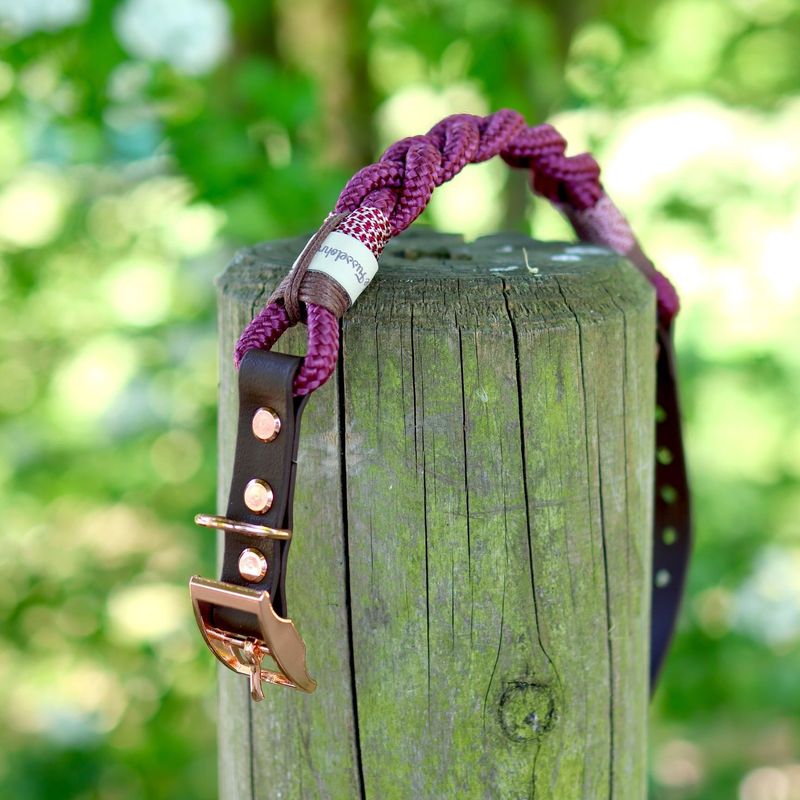 *Sofortkauf* Halsband HU 32-37cm Standard Tau *Sofortkauf* Halsband HU 32-37cm Standard Tau