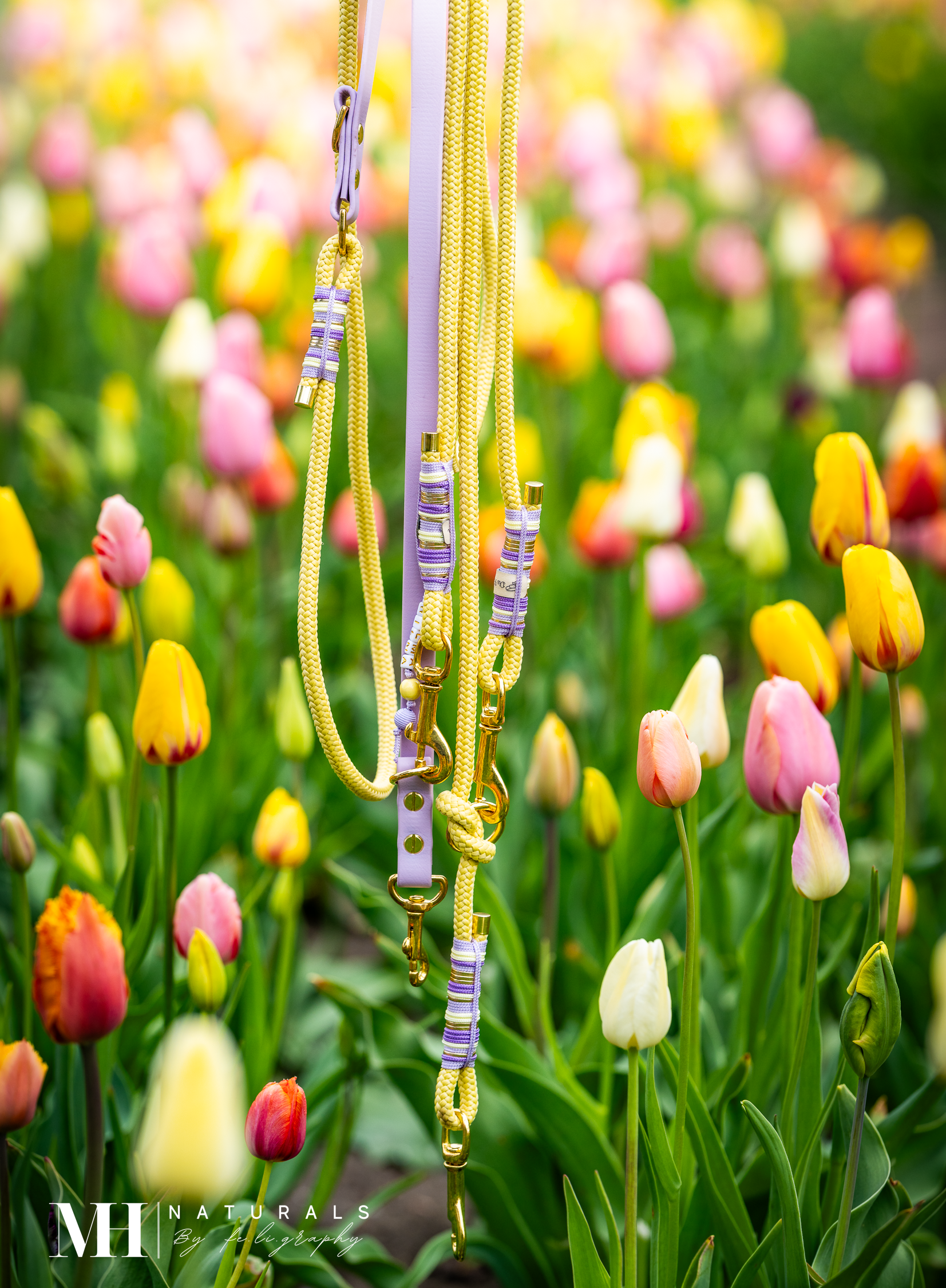 *Sofortkauf* Leine 8mm Standard Tau & Biothane