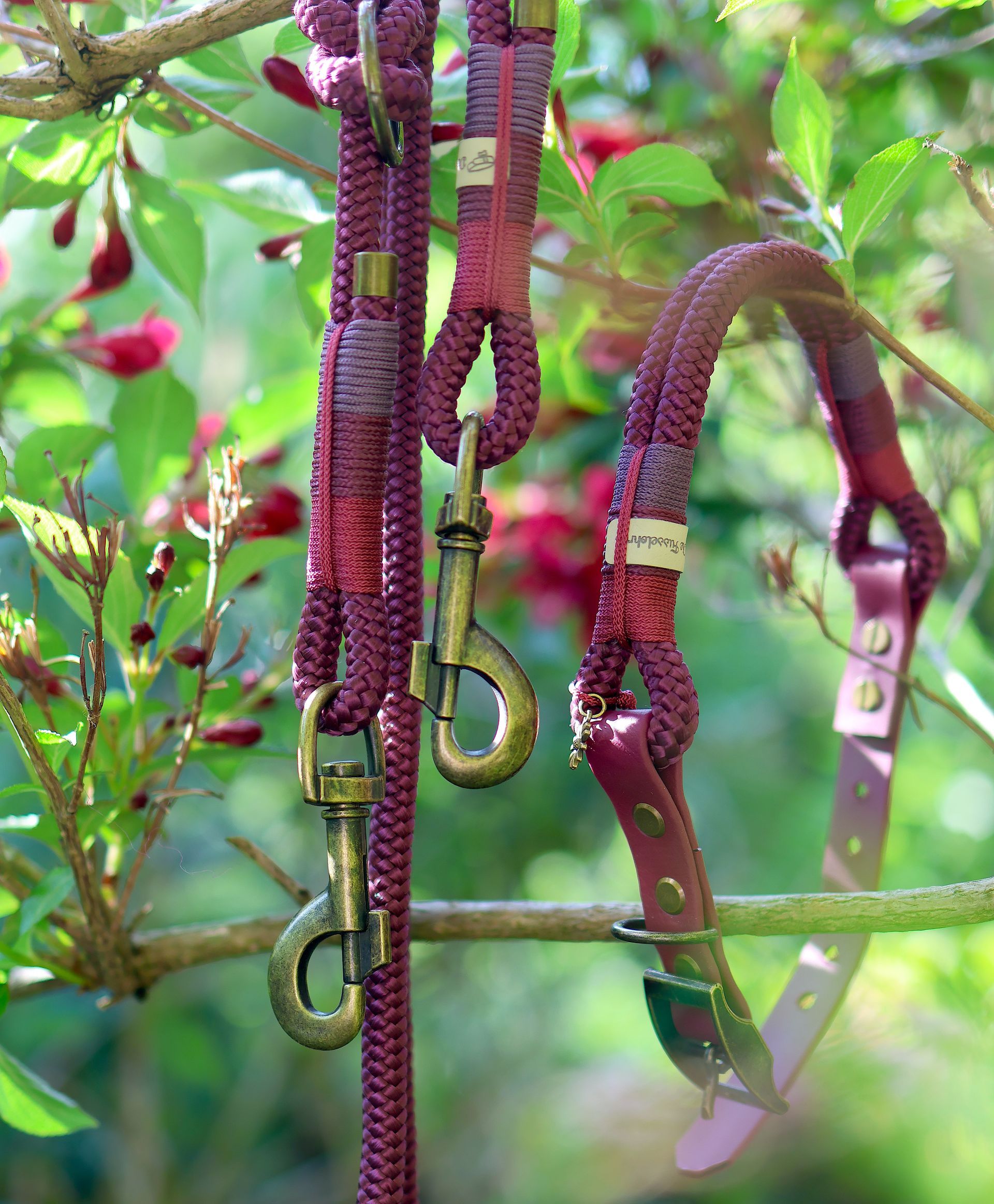 *Sofortkauf* Leine 10mm Standard Tau