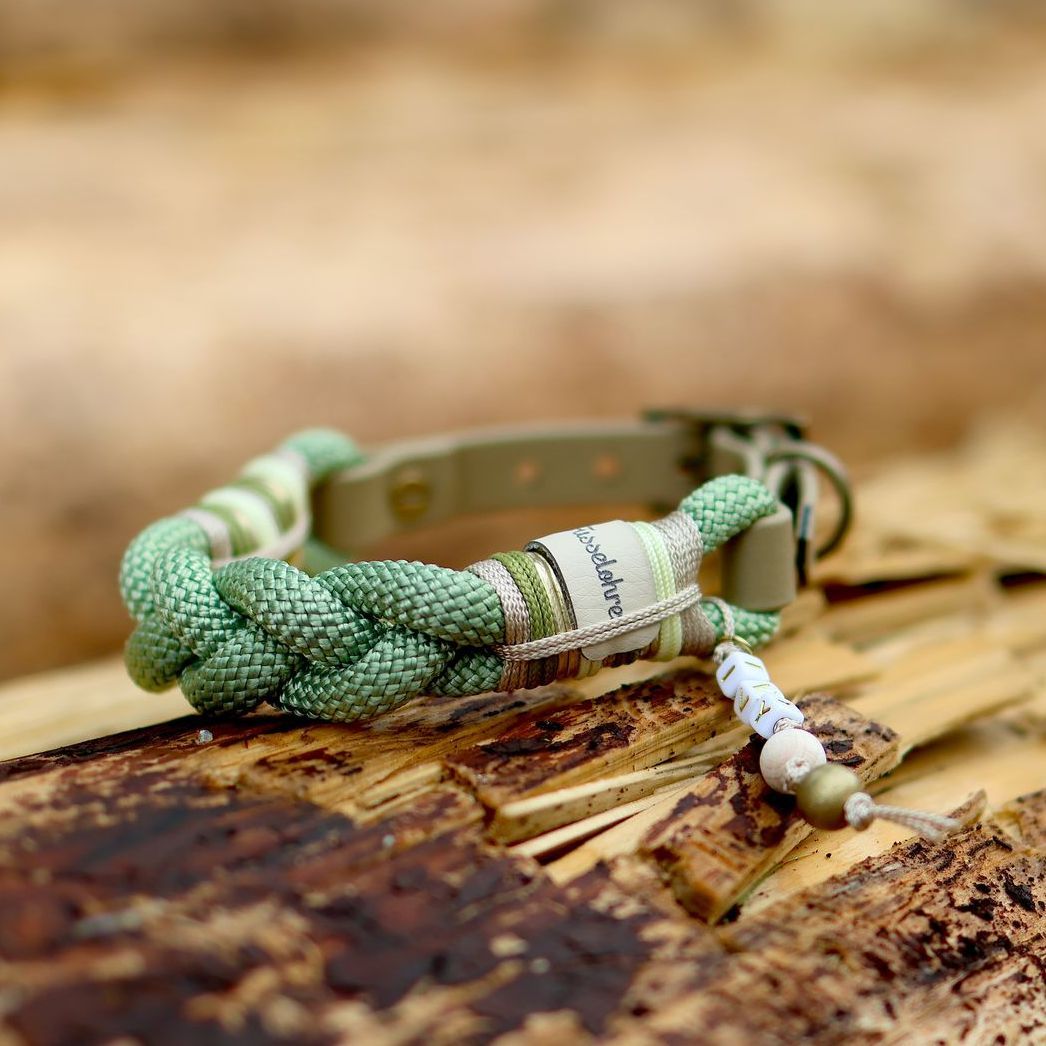 *Sofortkauf* Halsband HU 27-31cm Premium Tau