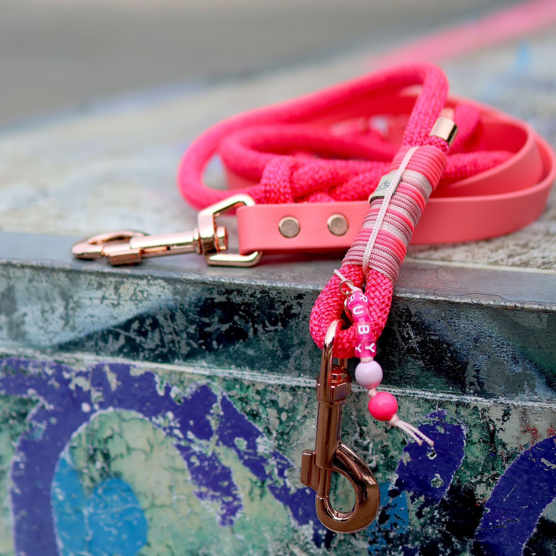 *Sofortkauf* Leine 10mm Premium Tau & Biothane