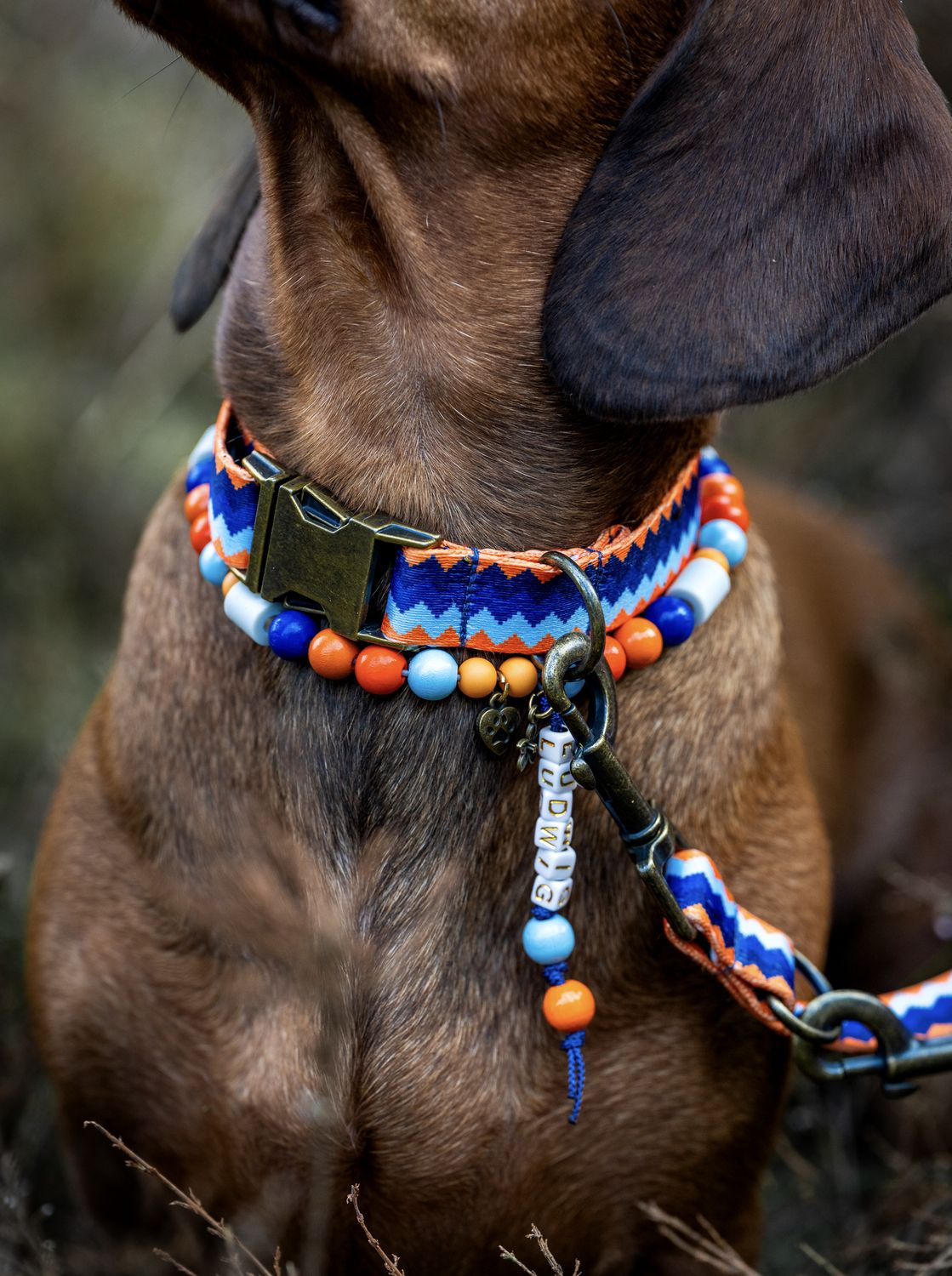 Halsband aus Gurtband Design Ragnar