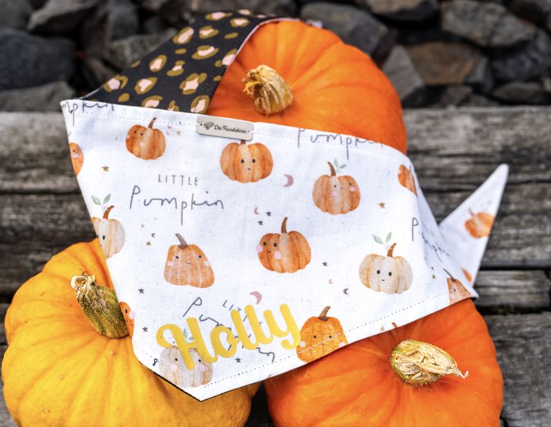 Wendehalstuch Herbst/Halloween
