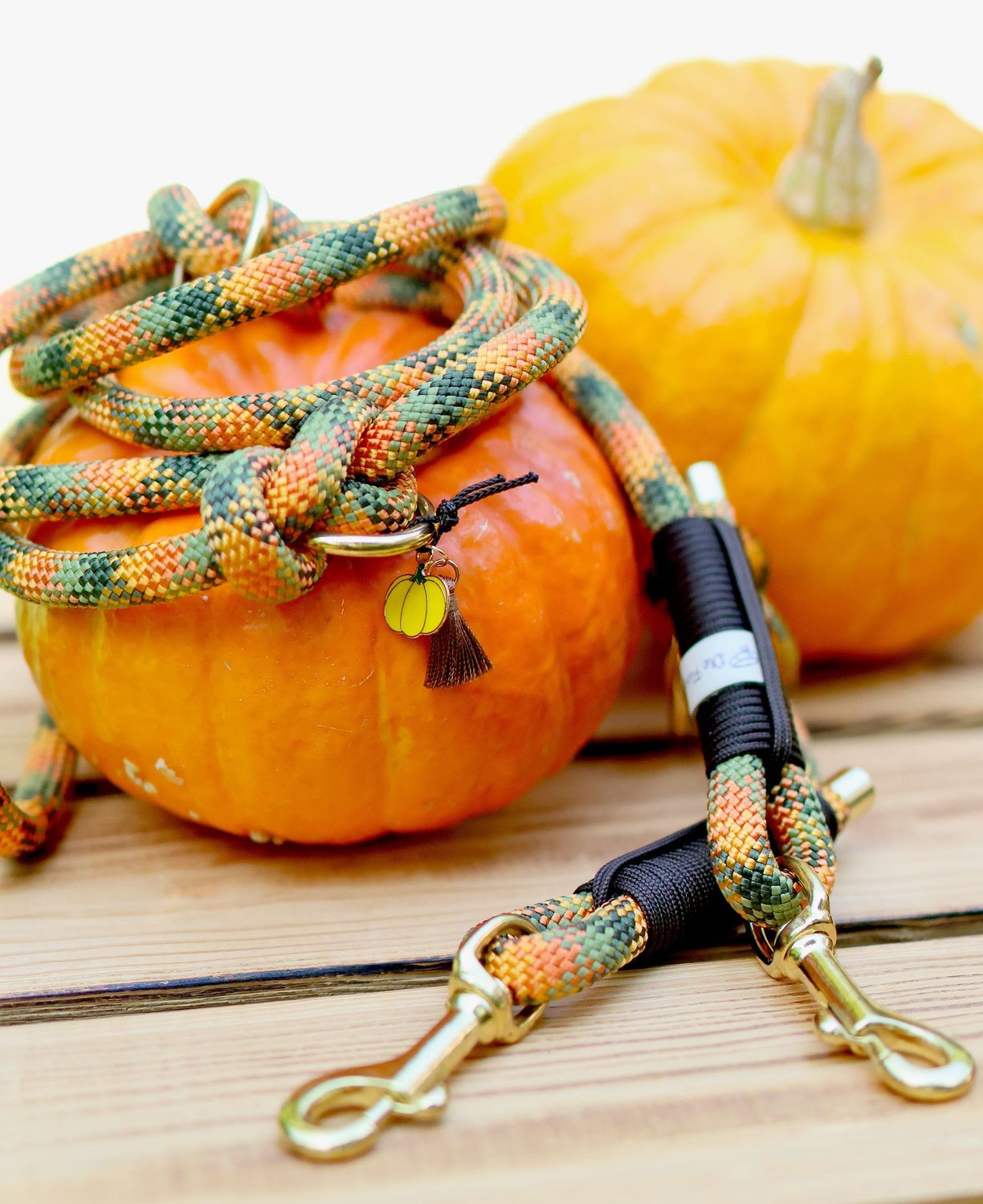 *Herbst 2025* Leine aus Tau - Pumpkin Spice Latte