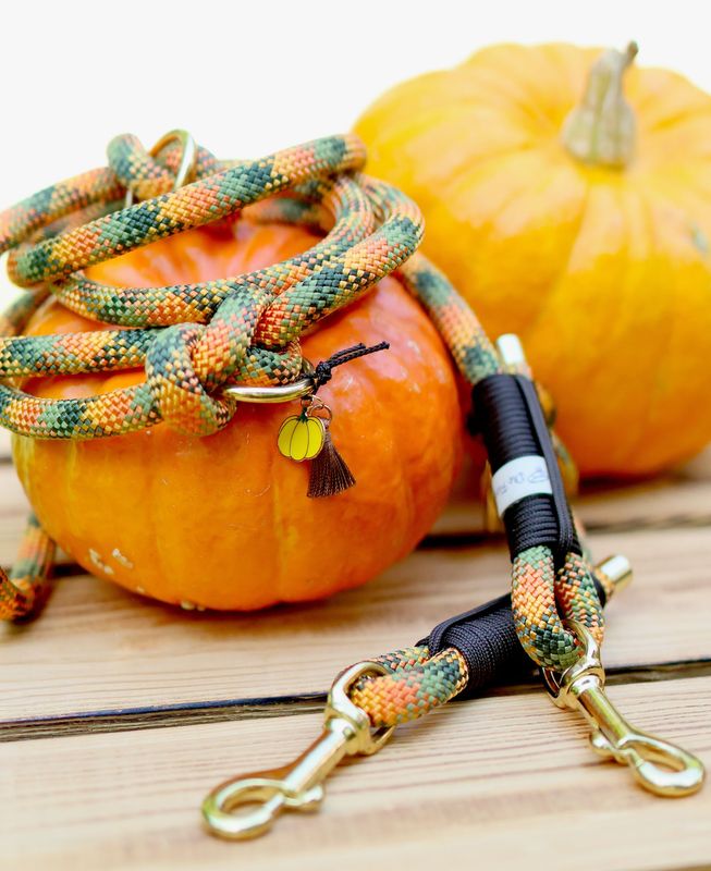 *Herbst 2025* Leine aus Tau - Pumpkin Spice Latte