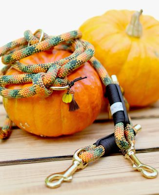 *Herbst 2025* Leine aus Tau - Pumpkin Spice Latte