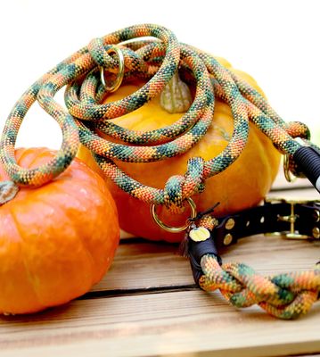 Herbst 2025