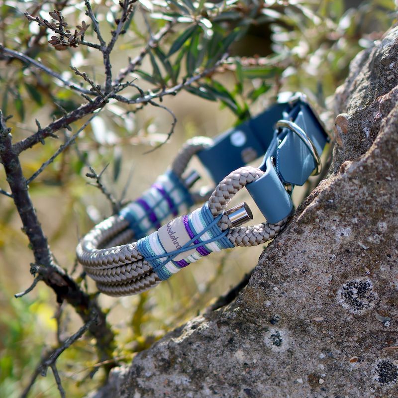 *Sofortkauf* Halsband HU 36-41cm Standard Tau *Sofortkauf* Halsband HU 36-41cm Standard Tau