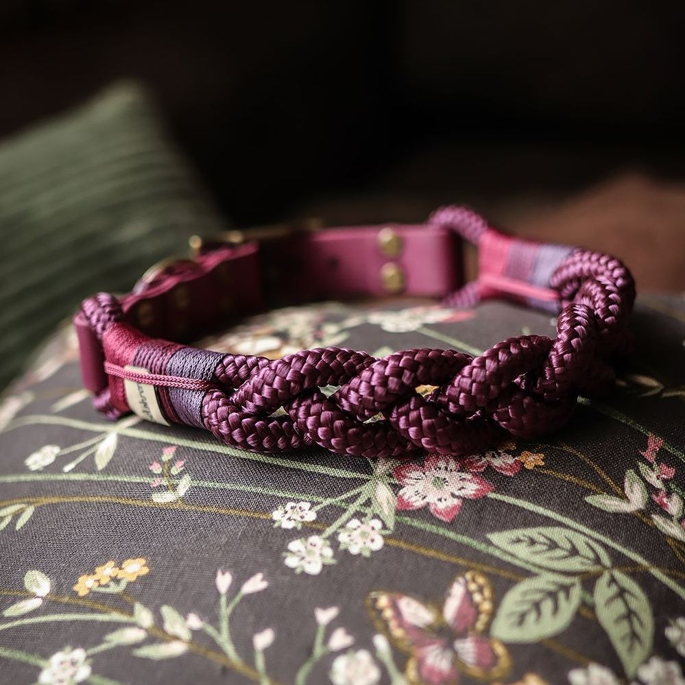 *Sofortkauf* Halsband HU 44-49cm Standard Tau