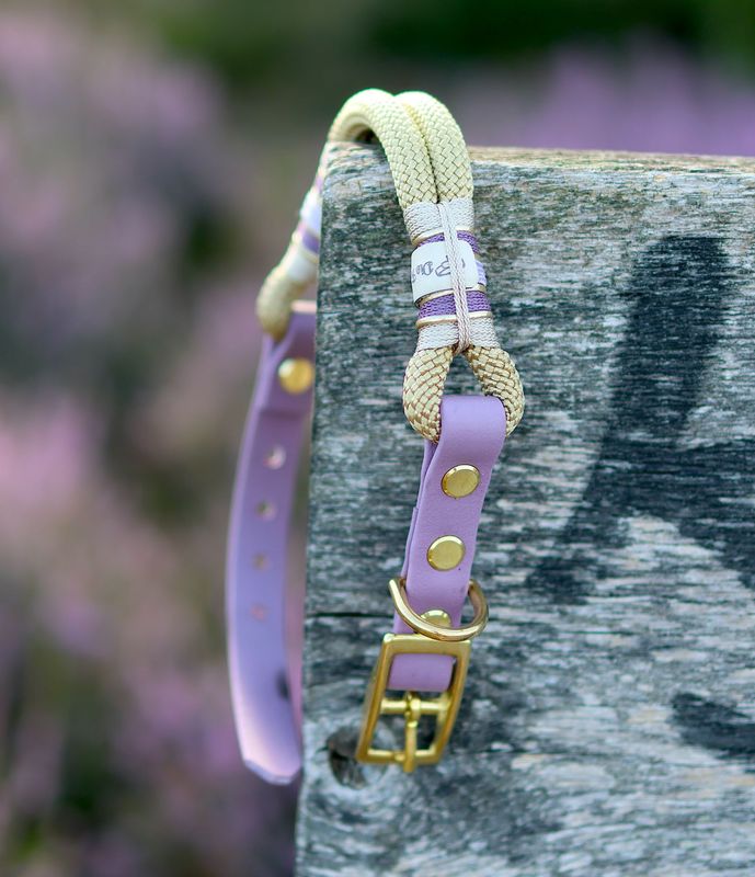 *Sofortkauf* Halsband HU 25-29cm Premium Tau *Sofortkauf* Halsband HU 25-29cm Premium Tau