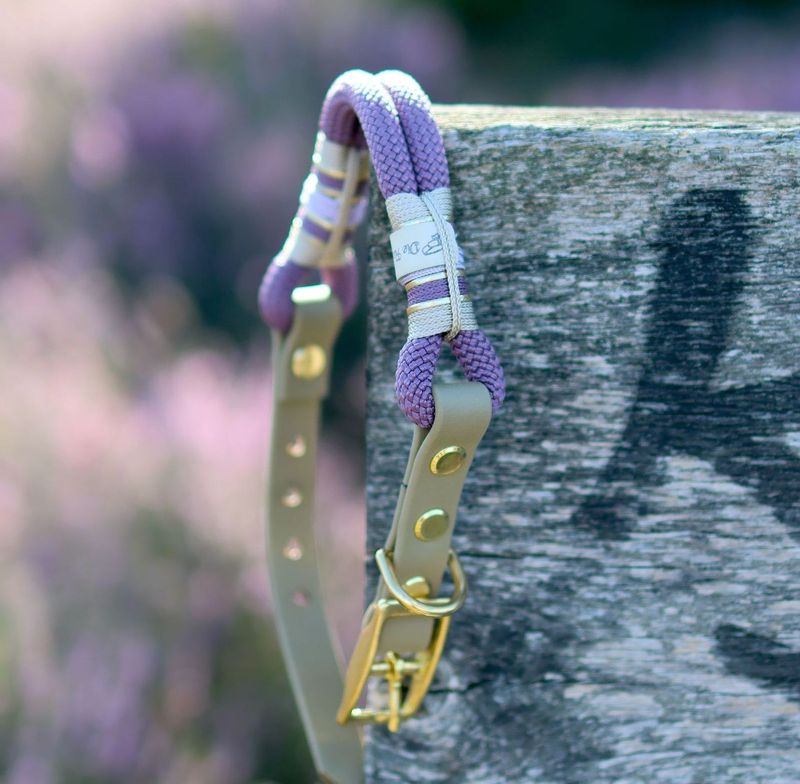 *Sofortkauf* Halsband HU 25-29cm Premium Tau *Sofortkauf* Halsband HU 25-29cm Premium Tau