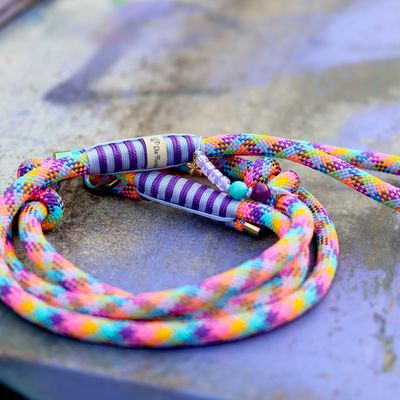 Retrieverleine aus Tau Design Sky