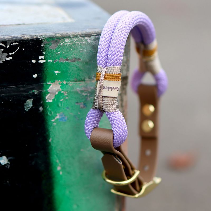 *Sofortkauf* Halsband HU 32-37cm Premium Tau *Sofortkauf* Halsband HU 32-37cm Premium Tau