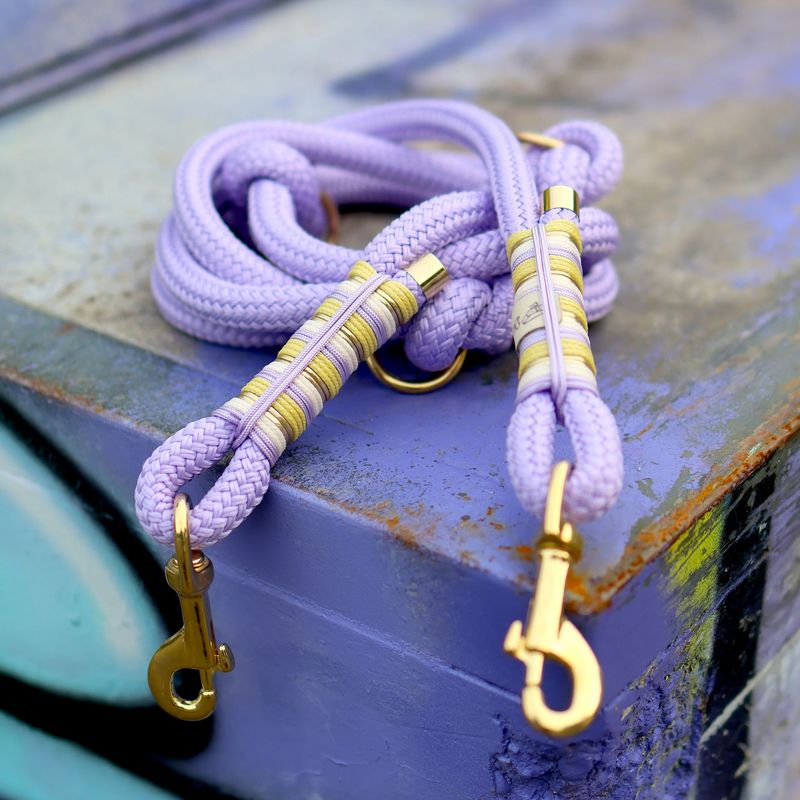 *Sofortkauf* Leine 12mm Standard Tau *Sofortkauf* Leine 12mm Standard Tau