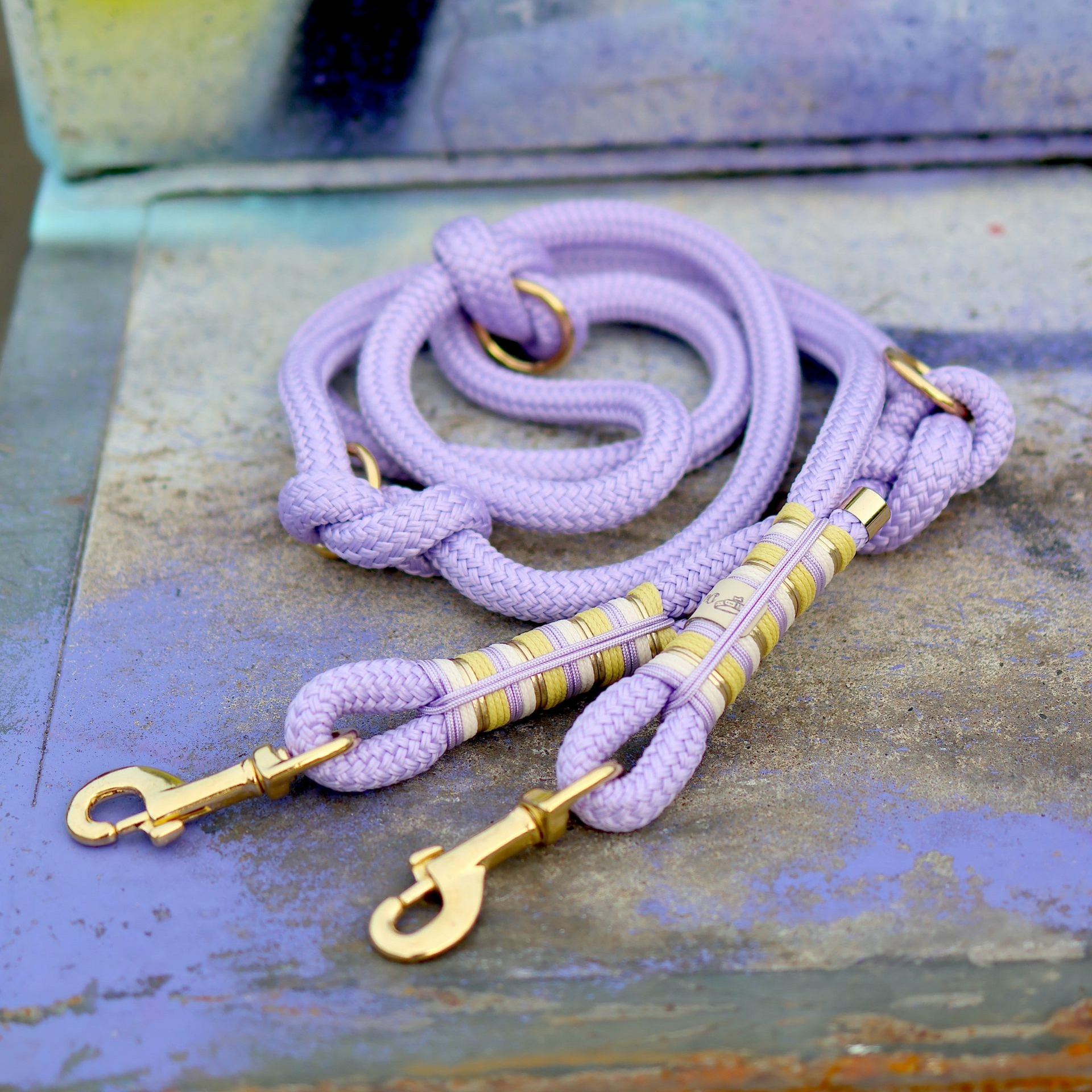 *Sofortkauf* Leine 12mm Standard Tau