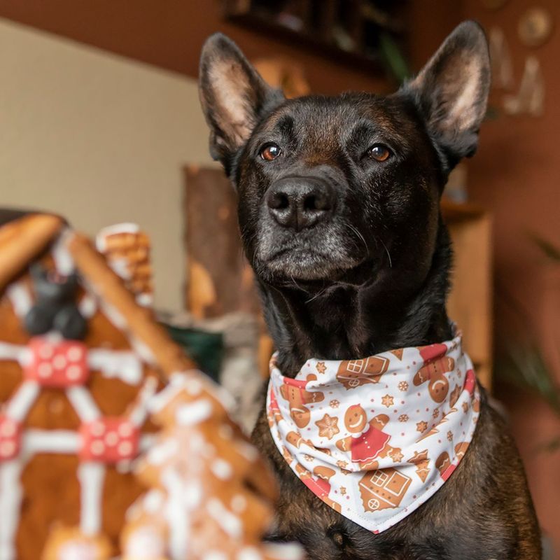 *Weihnachten 2025* Wendehalstuch *Weihnachten 2025* Wendehalstuch