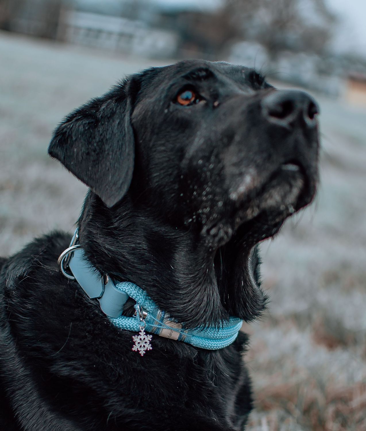 *WINTERZAUBER* Halsband aus Tau *WINTERZAUBER* Halsband aus Tau