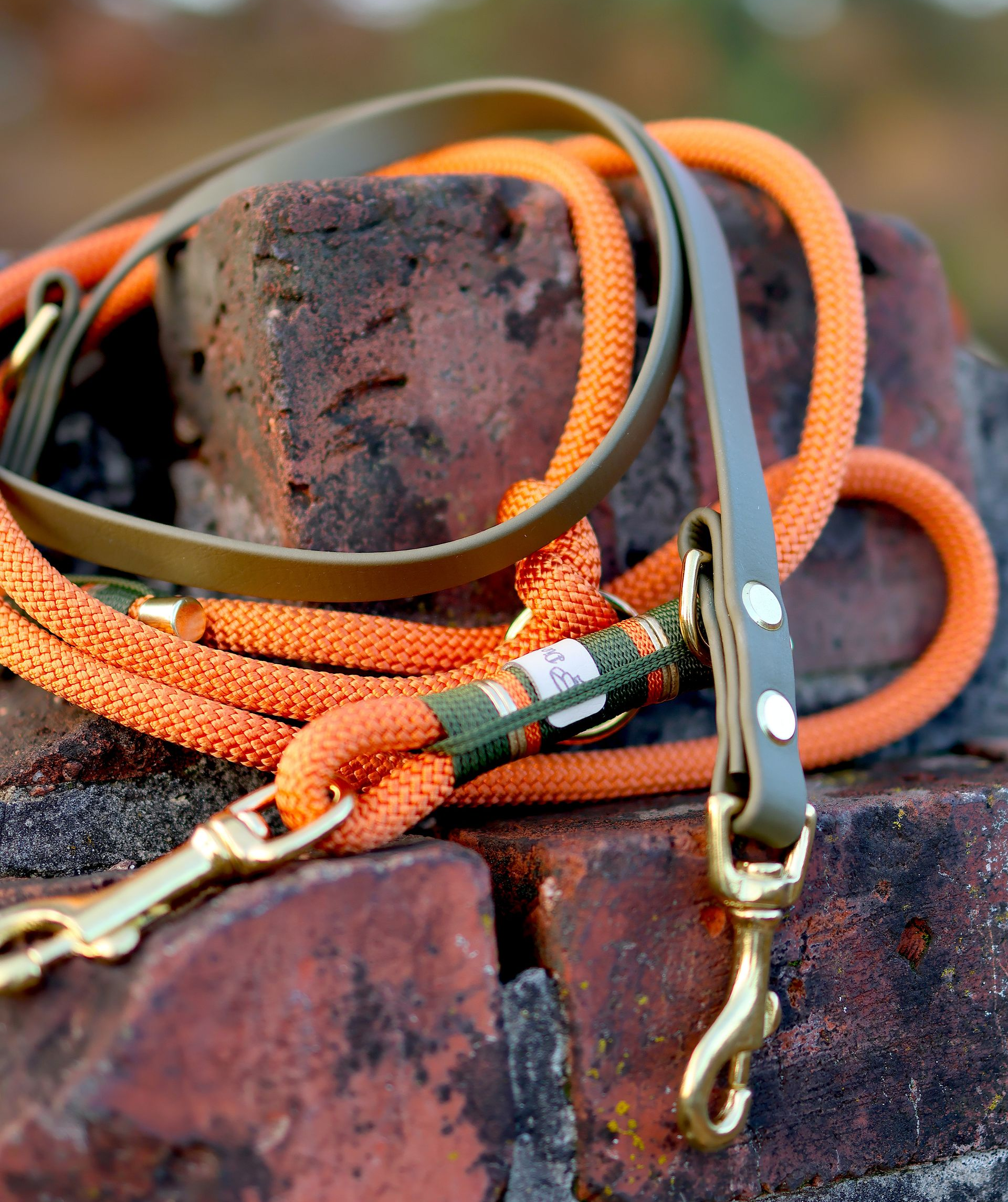 *Sofortkauf* Leine 8mm Premium Tau & Biothane