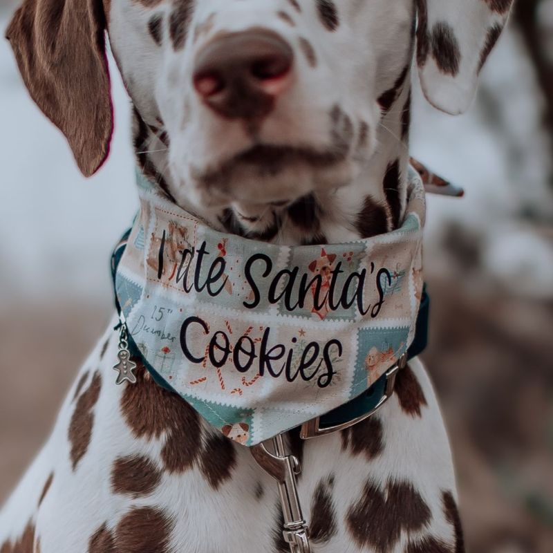 *Weihnachten 2025* Wendehalstuch *Weihnachten 2025* Wendehalstuch