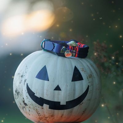 Halloween 2026