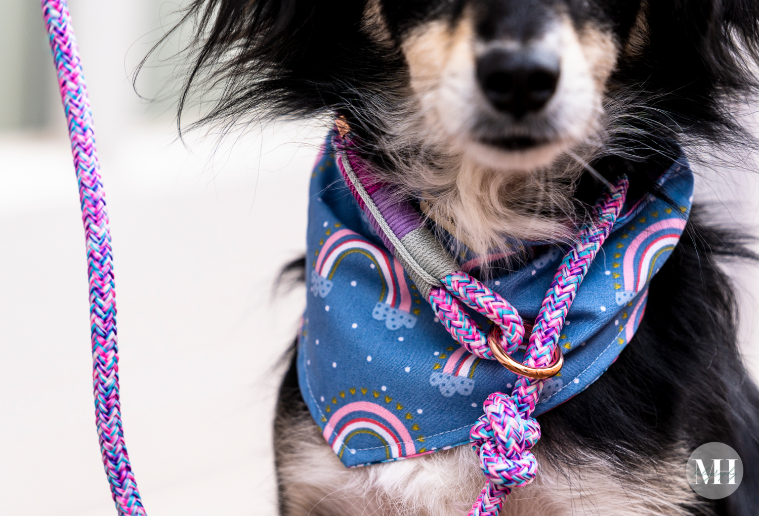 *Retrieverleinen-Generator Standard Tau*