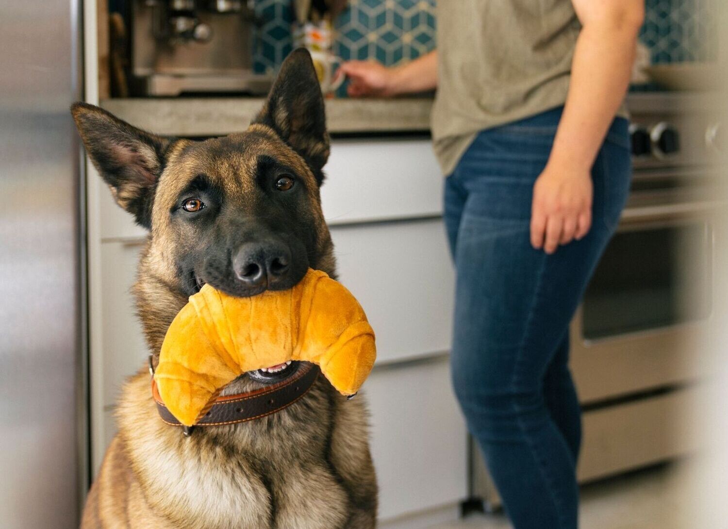 P.L.A.Y. Barking Brunch Plush Toys - Croissant