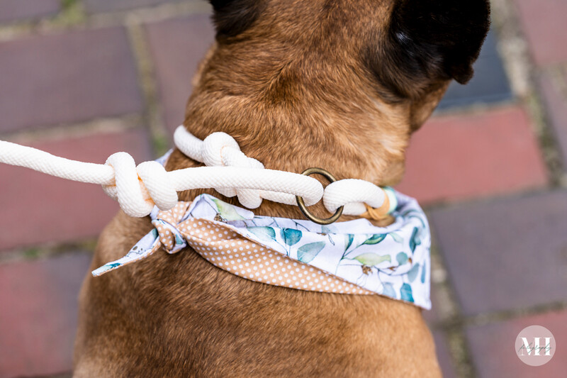 *Retrieverleinen-Generator Premium Tau*