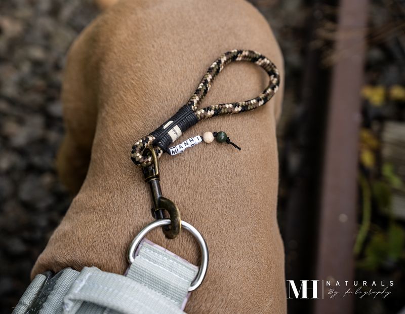 Kurzführer aus Tau Design Hades