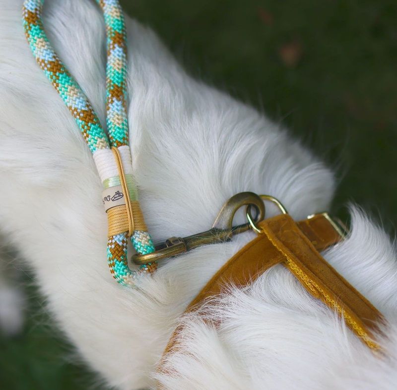 *Kurzführer-Generator Premium Tau*