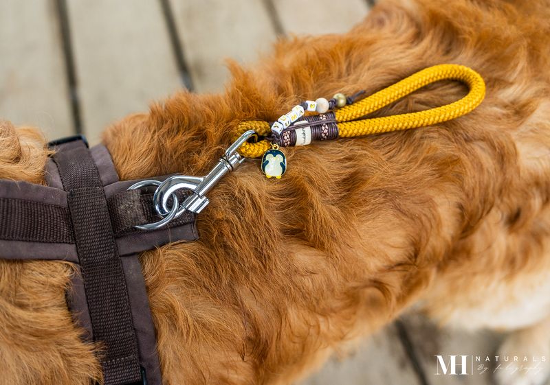 *Kurzführer-Generator Standard Tau*