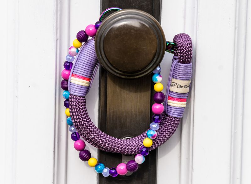 *Sofortkauf* Halsband HU 26cm Premium Tau *Sofortkauf* Halsband HU 26cm Premium Tau