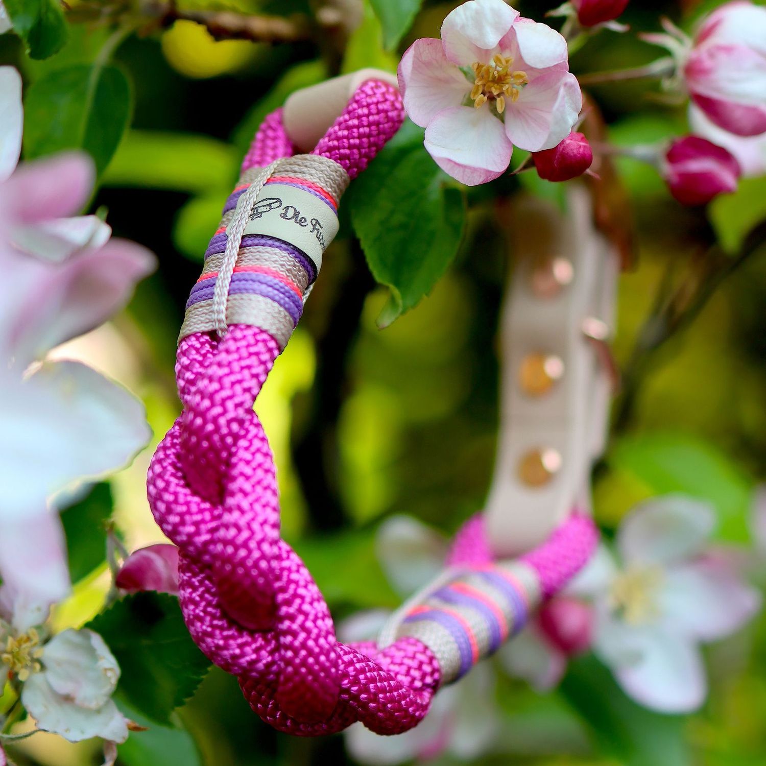 *Sofortkauf* Halsband HU 28-33cm Premium Tau