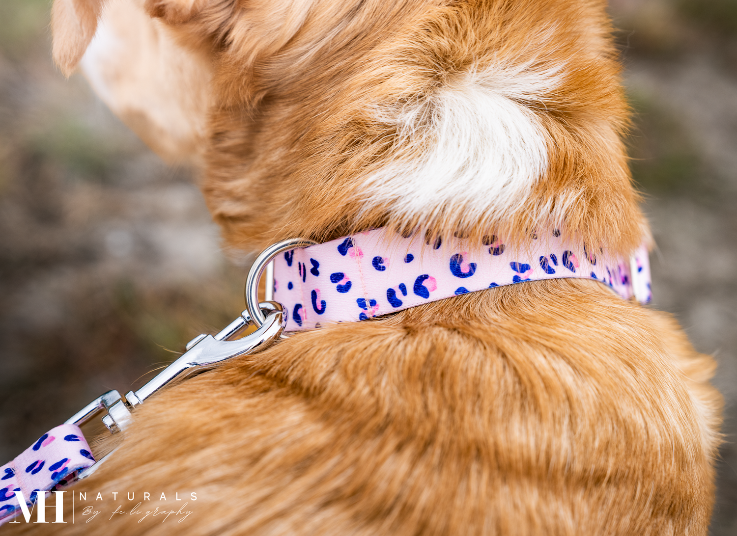 Halsband aus Gurtband Design Frieda