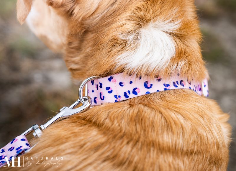 Halsband aus Gurtband Design Frieda