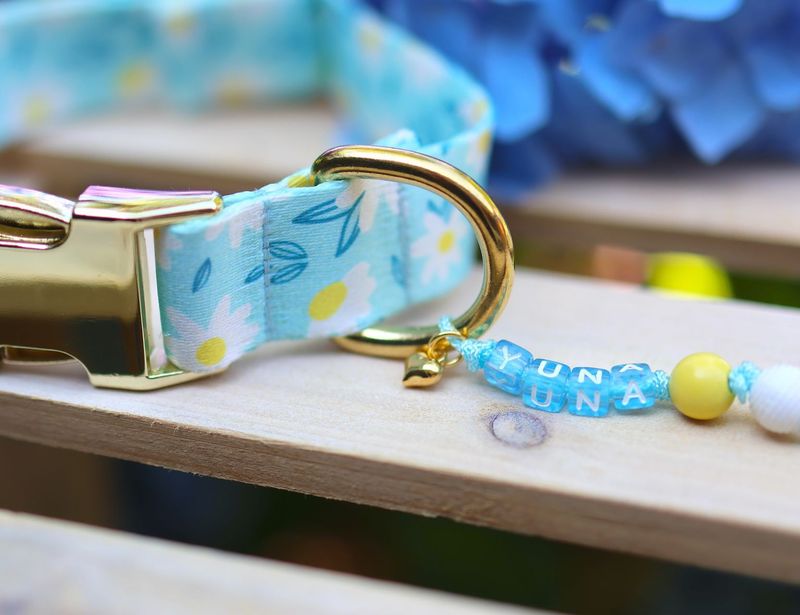 Halsband aus Gurtband Design Betty