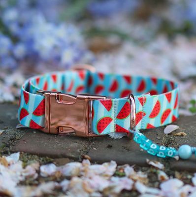 Halsband aus Gurtband Design Kiddo Halsband aus Gurtband Design Kiddo