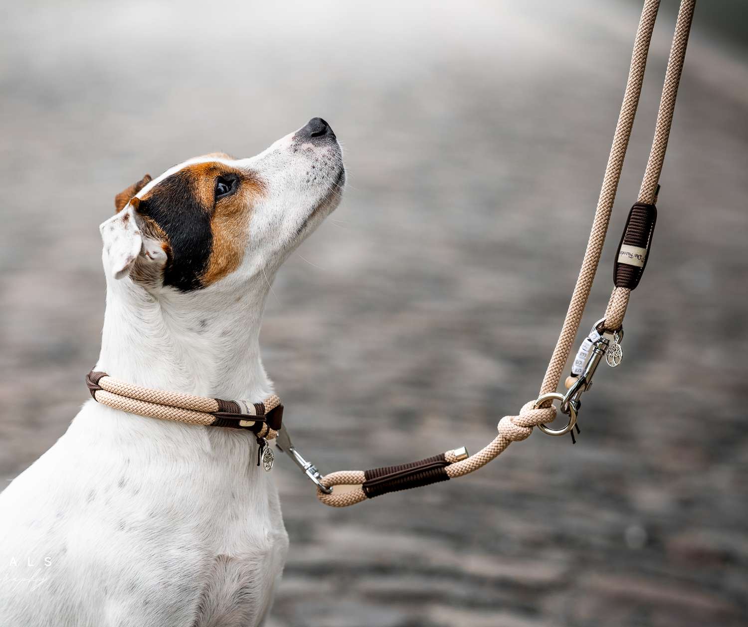 Leine aus Tau Design Chess