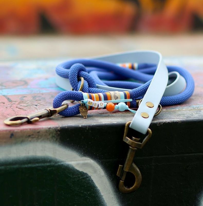 Leine aus Tau & Biothane Design Ragnar