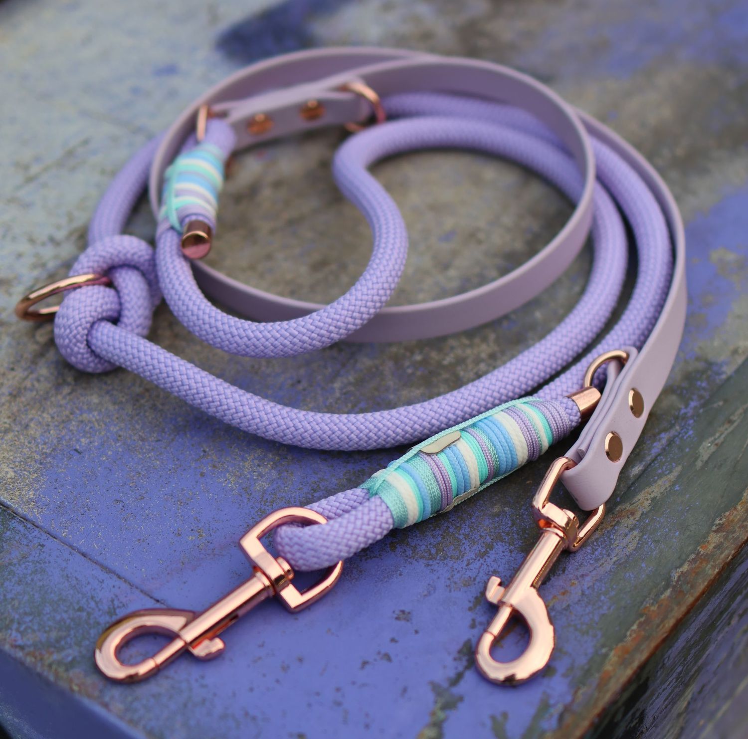 Leine aus Tau & Biothane Design Wilma