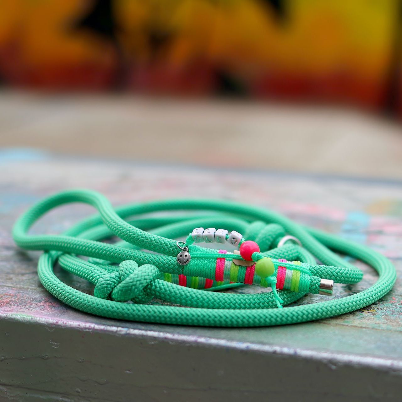 Retrieverleine aus Tau Design Cleo