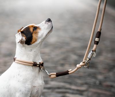 Halsband aus Tau Design Chess