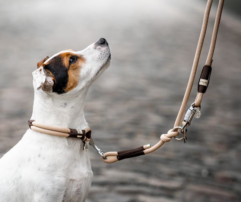 Halsband aus Tau Design Chess