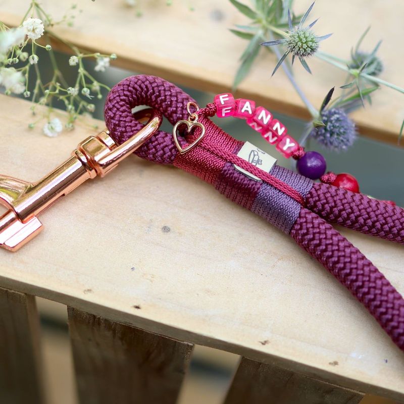 Kurzführer aus Tau Design Ellie