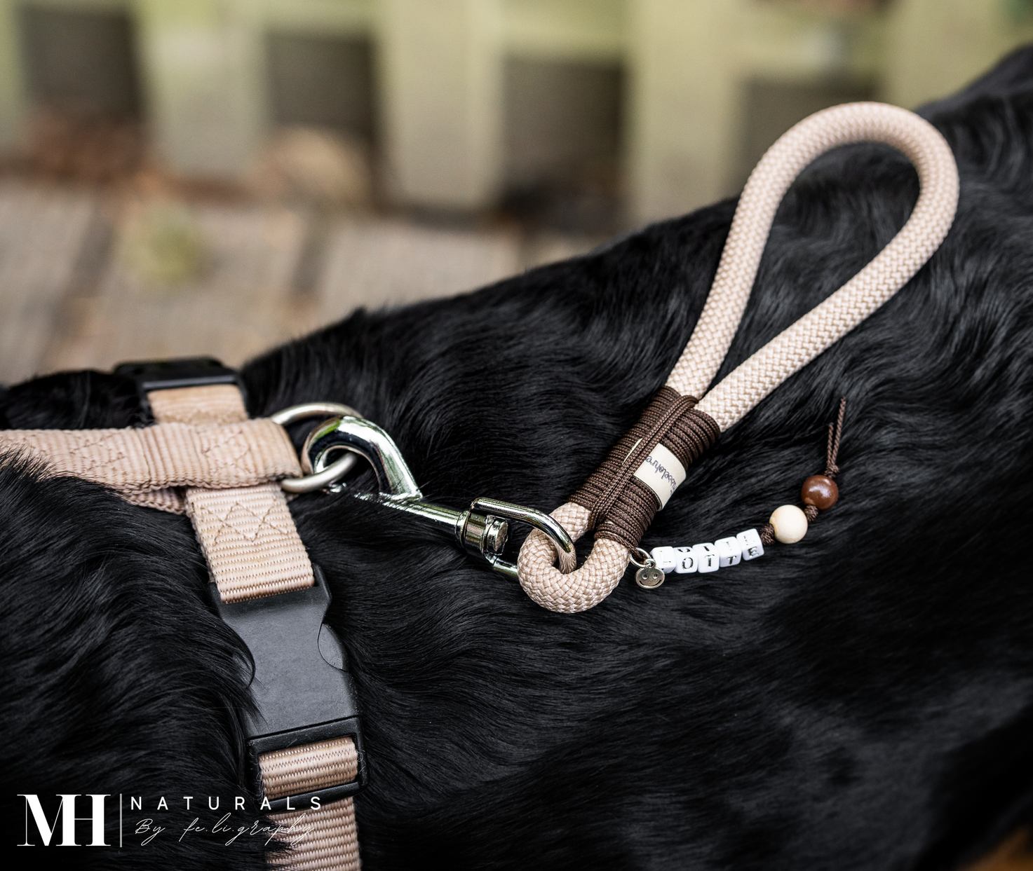 Kurzführer aus Tau Design Chess