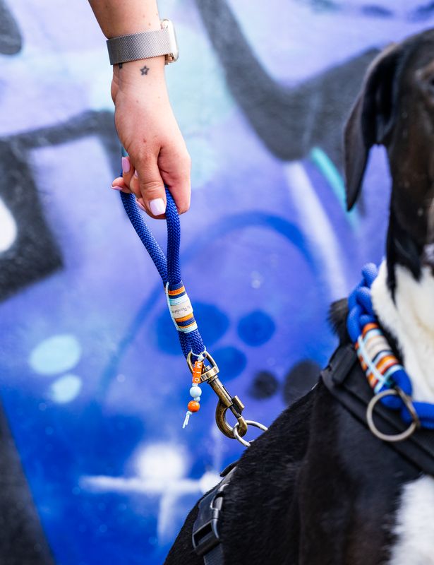 Kurzführer aus Tau Design Ragnar